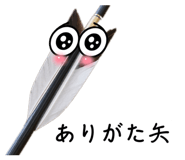 856247927