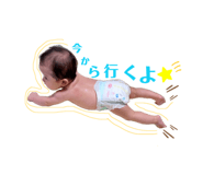 856247981