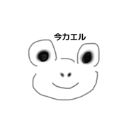 856248284