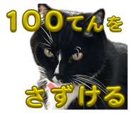 856248581