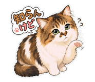 856248639