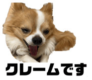 856248918