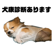 856248929
