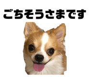 856248934