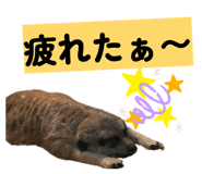 856249327