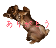 856250873