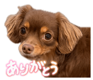 856250878