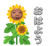856251297