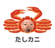 856251298