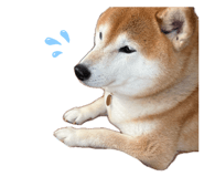 856251615