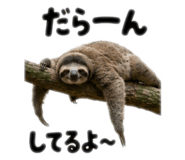 856252155