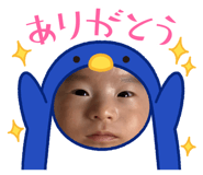 856252366