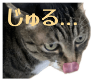 856252754