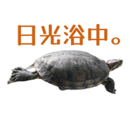 856252759