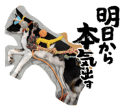 856252804