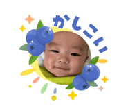 856253290