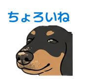 856253546