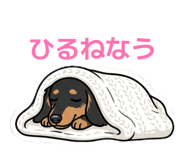 856253550