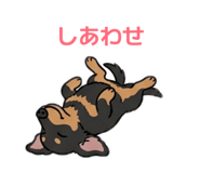 856253553