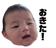 856253598