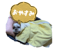 856253670