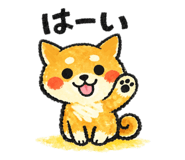 856254078