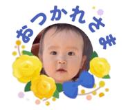 856254220