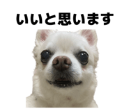 856254452