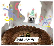 856254460