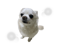 856254469