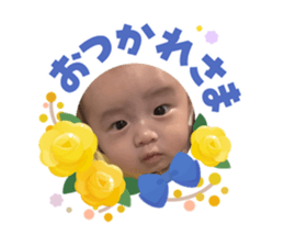 856254558