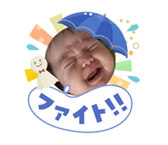 856254637