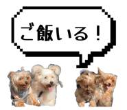 856254647