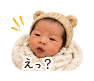 856254713