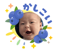 856255350