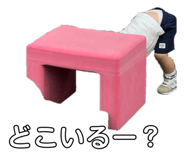 856255381
