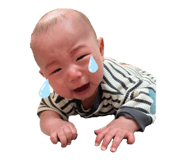 856255397