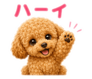 856255672