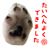 856255715