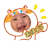 856255938