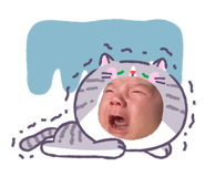 856256220