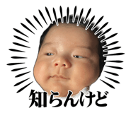 856256222