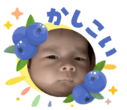 856256466
