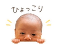 856257134