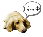 856257199