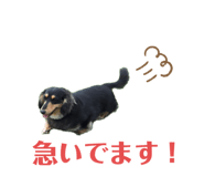 856257208