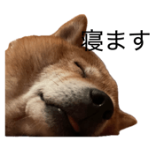 856257269