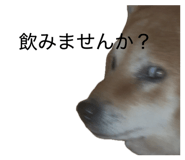 856257275