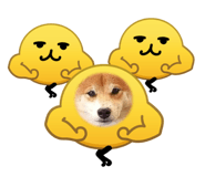 856257324