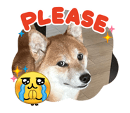 856257327